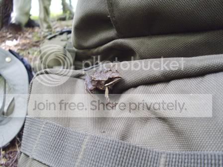 PICT0593.jpg