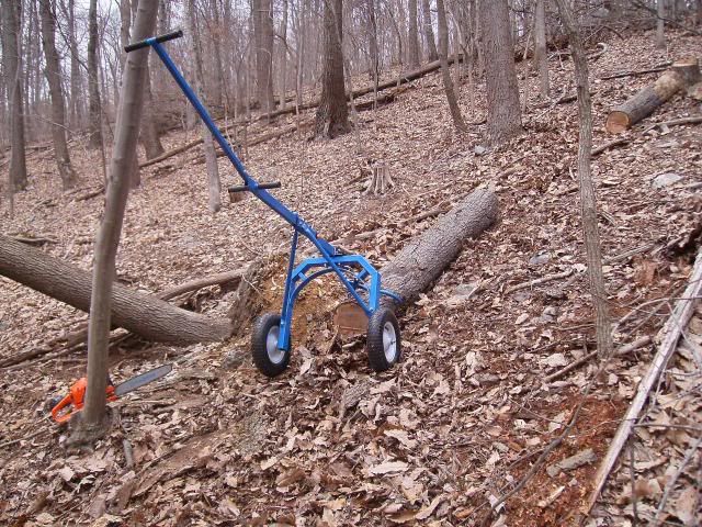 axe1-13018_zps0213700f.jpg