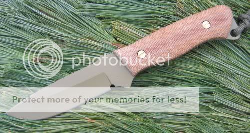 dkccompanion_pines01_500x.jpg