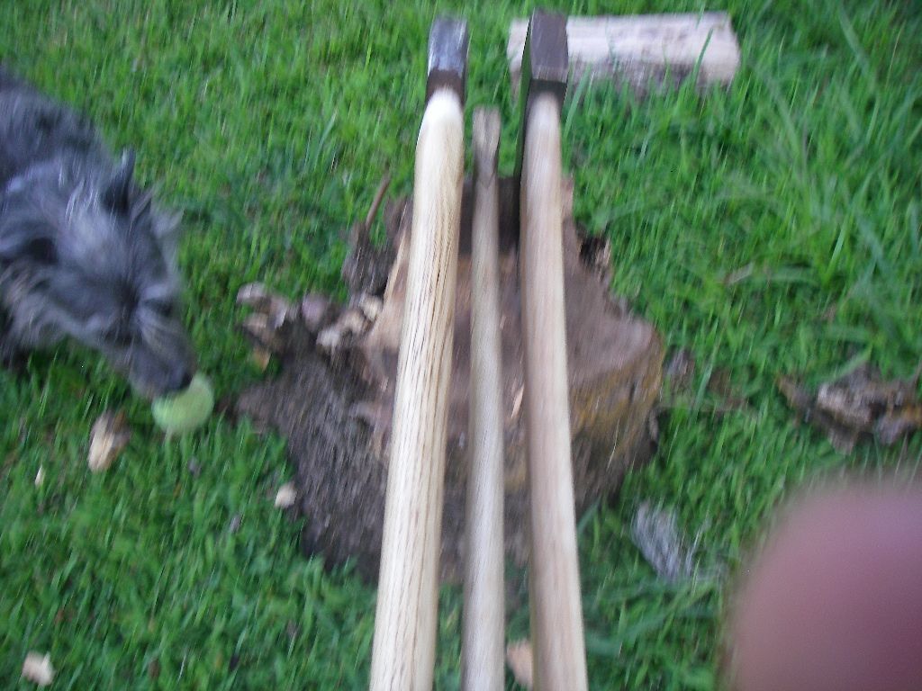 IMGP1391.jpg