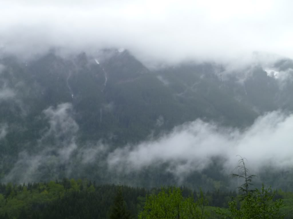 P1000156.jpg