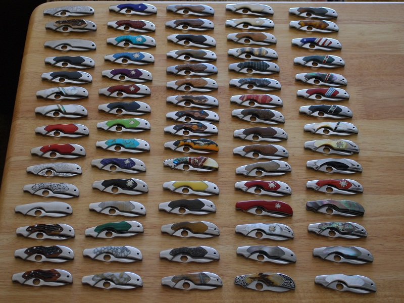 kiwi_collection_8X6.jpg
