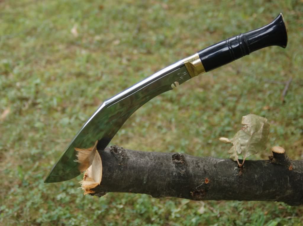 WWIIinwood3.jpg