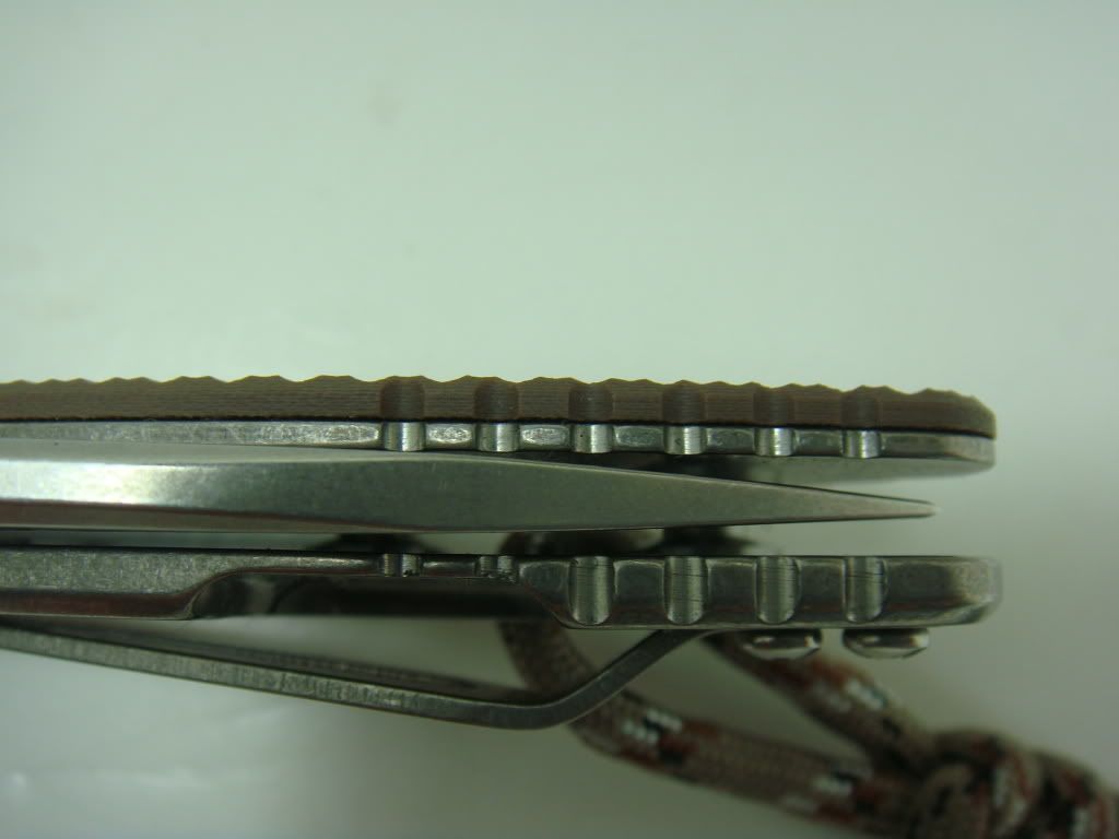 dee33706.jpg