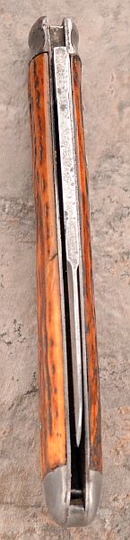 S&M438swayback4.jpg