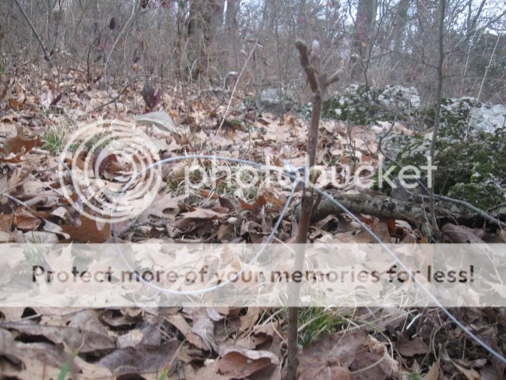 IMG_4699_zps10c2fd5c.jpg