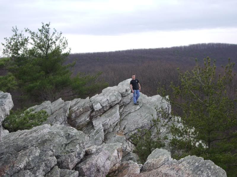 barebones054.jpg