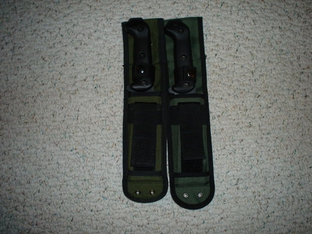 DSC01616.jpg
