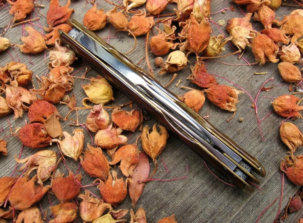 KeenKutterWhittler03.jpg