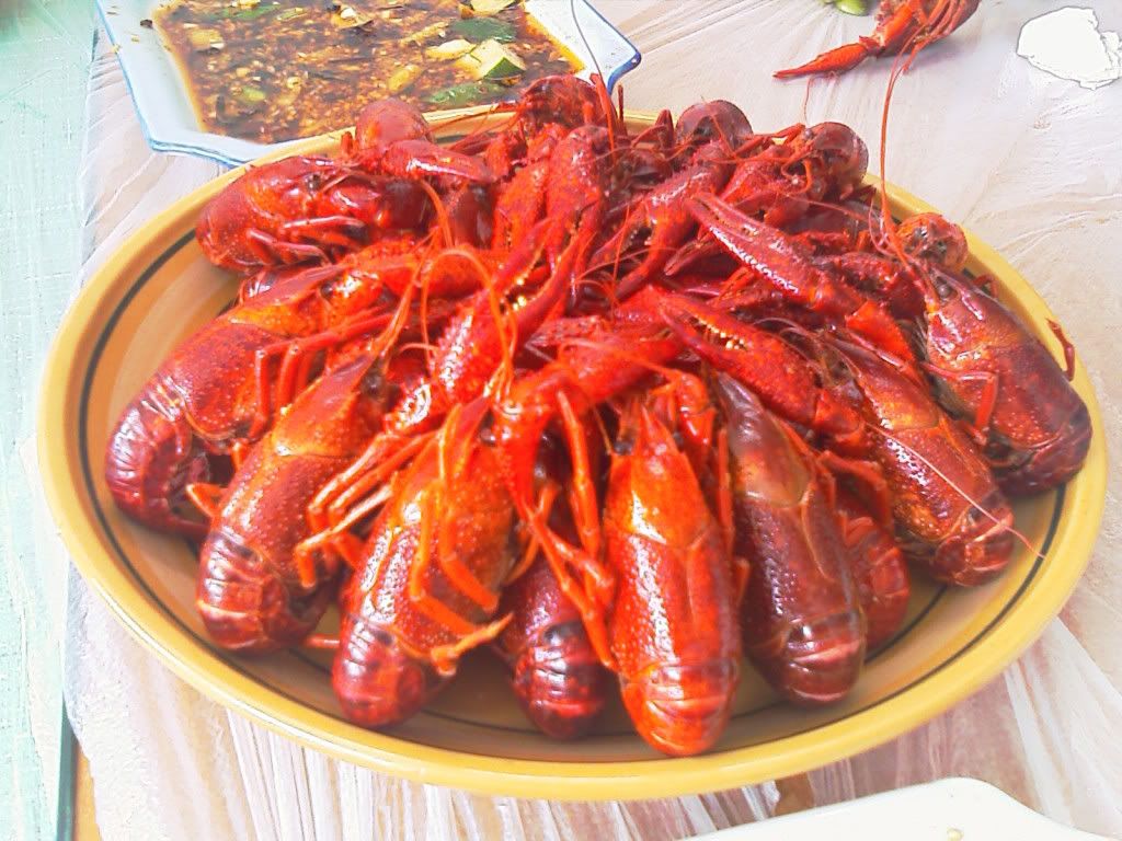 IMAG0238.jpg