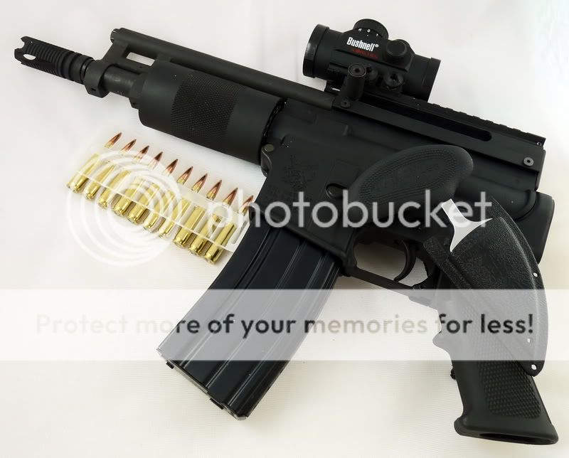 OlympicArmsAR15Pistol2.jpg