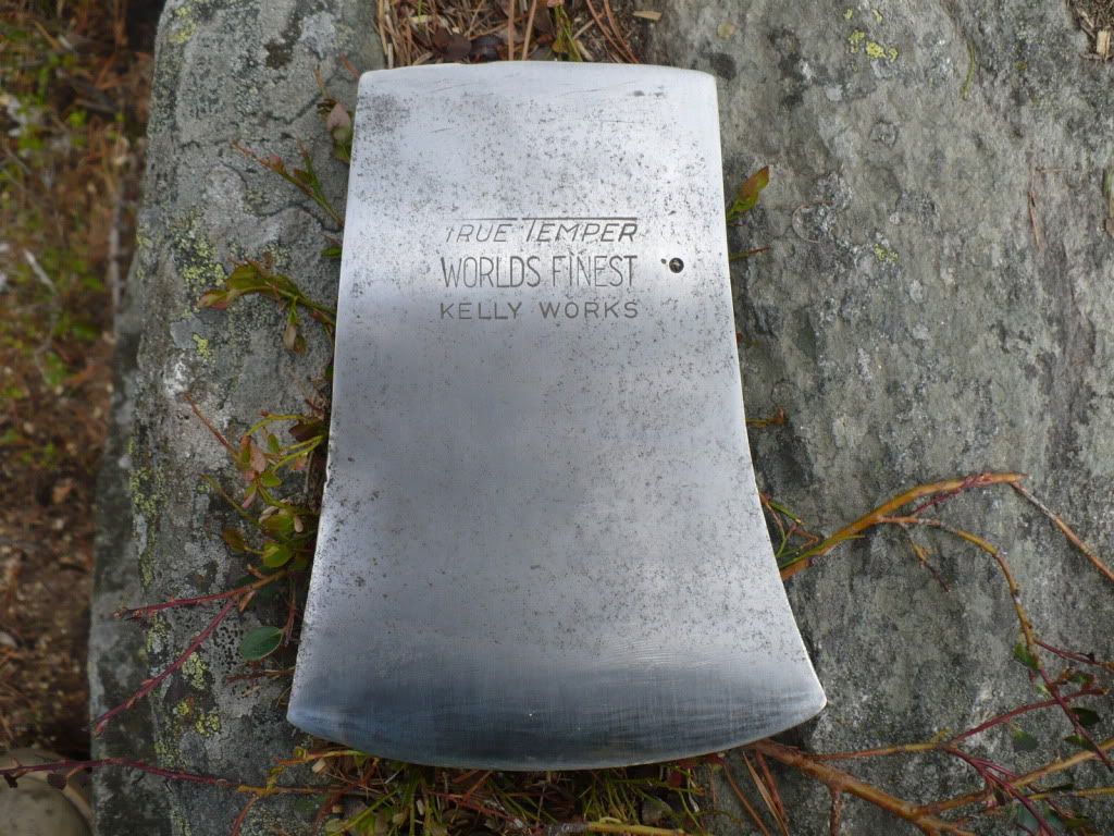 P1020174.jpg