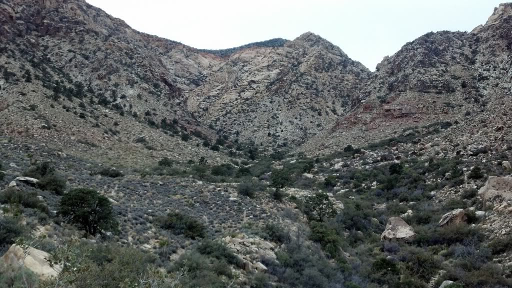 2012-02-27_14-27-16_2.jpg