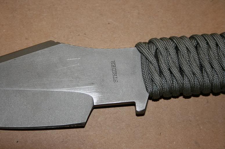 strider005.jpg