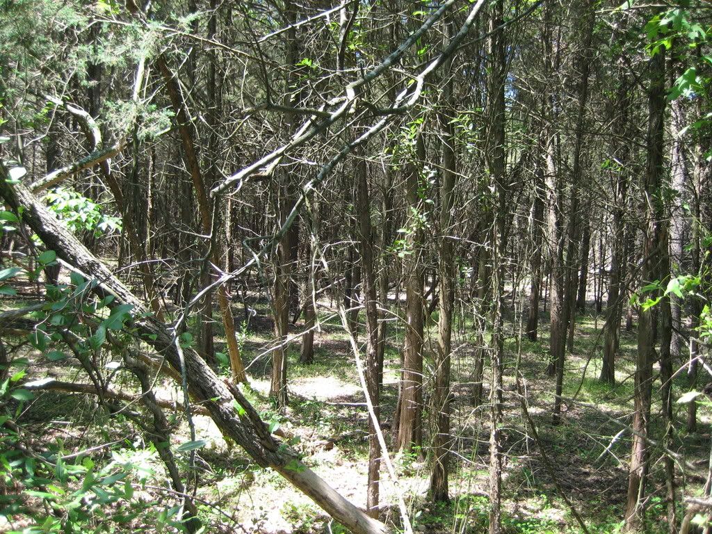 IMG_0264.jpg