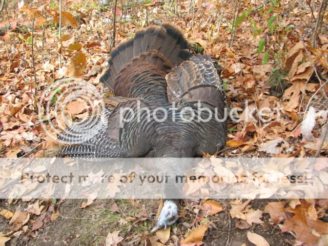 IMG_1478.jpg
