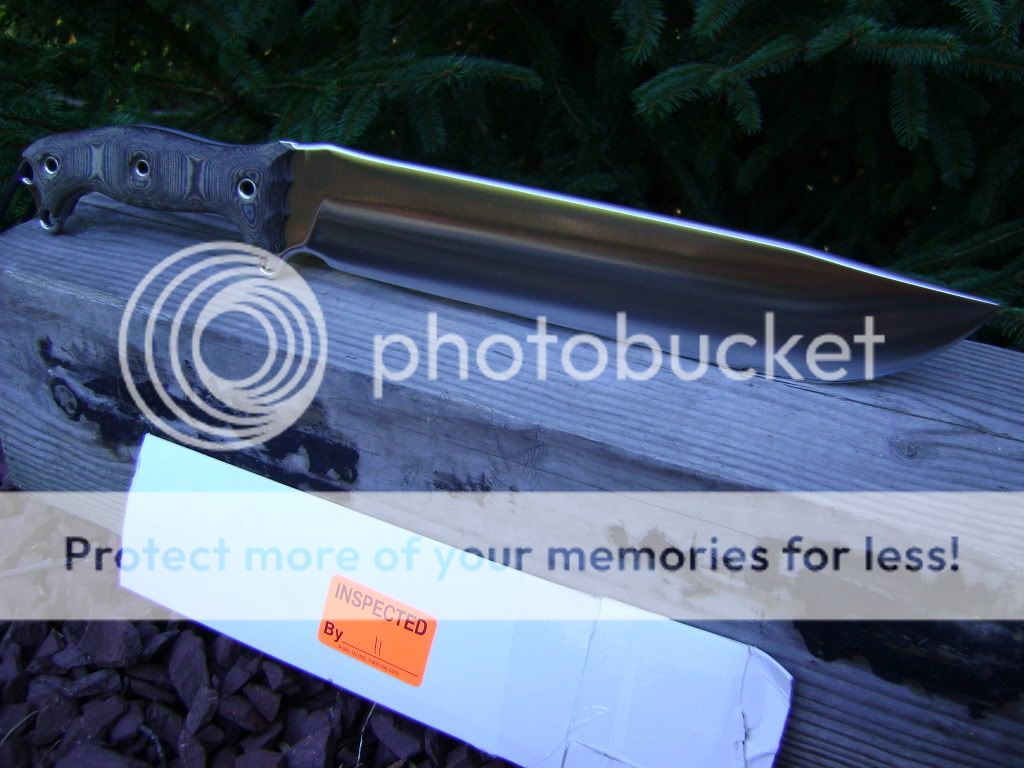 2busse003.jpg