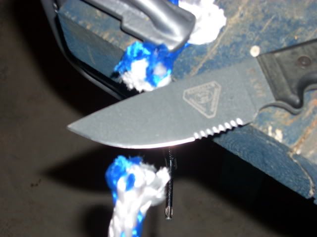 DSCN1317.jpg