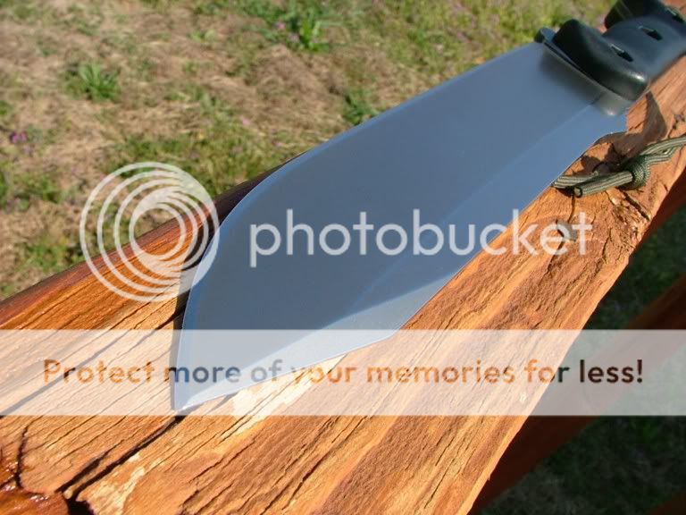 DSCF3451.jpg