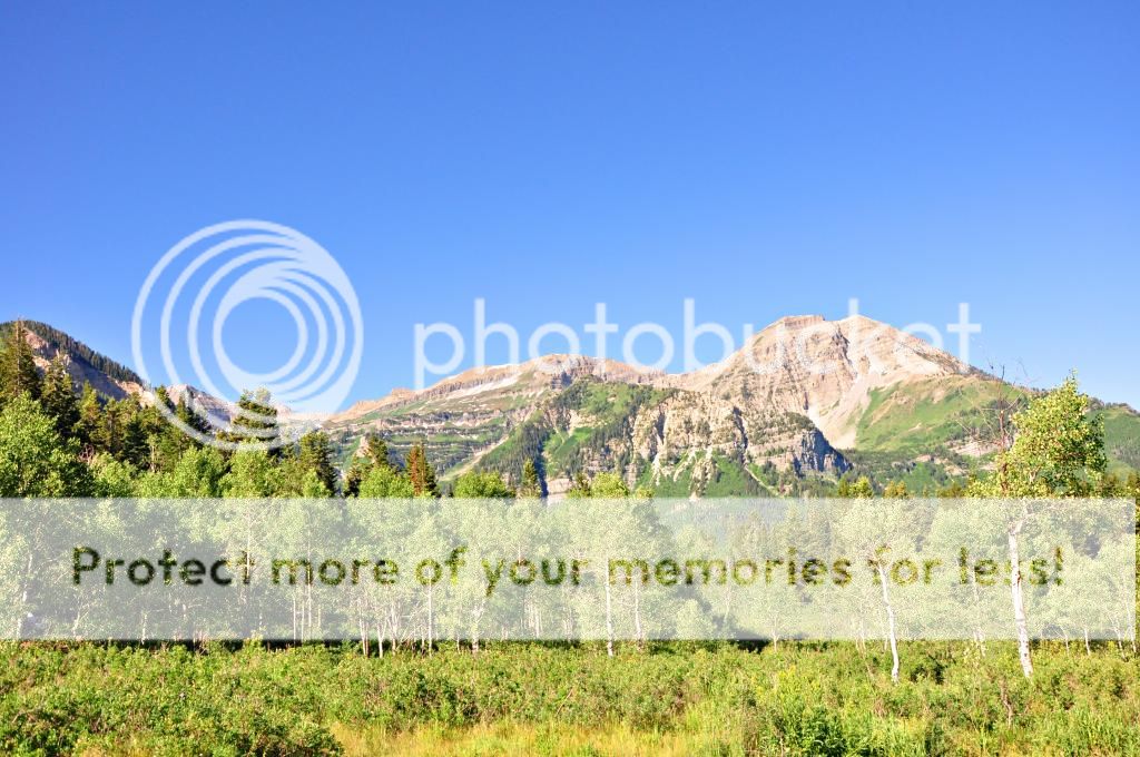AFCanyon_zps794c3784.jpg