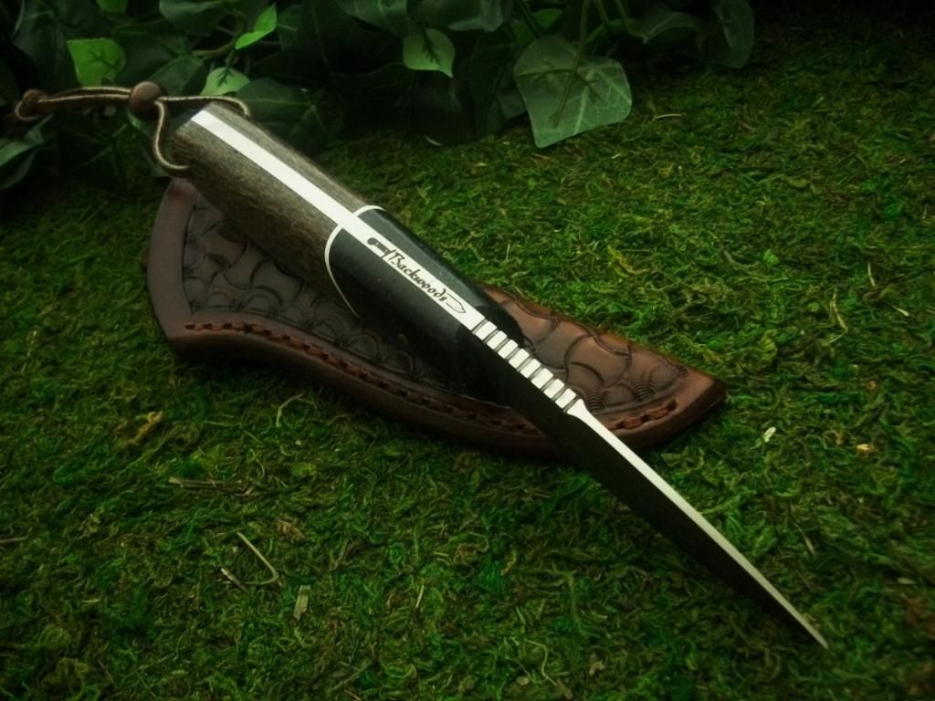 BLAP033.jpg