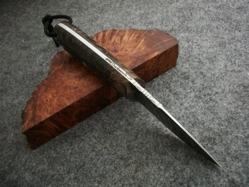 x3157.jpg