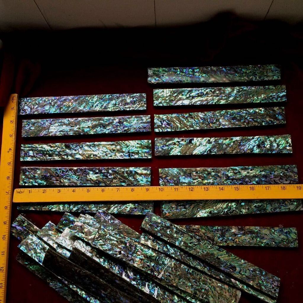 abalone_zpsawwqdf93.jpg