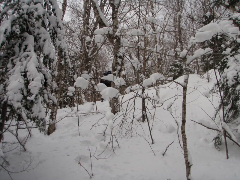 P2122864.jpg