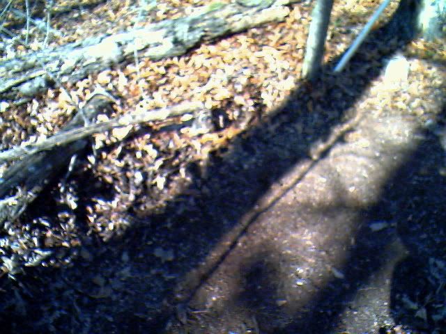 IMG00936.jpg