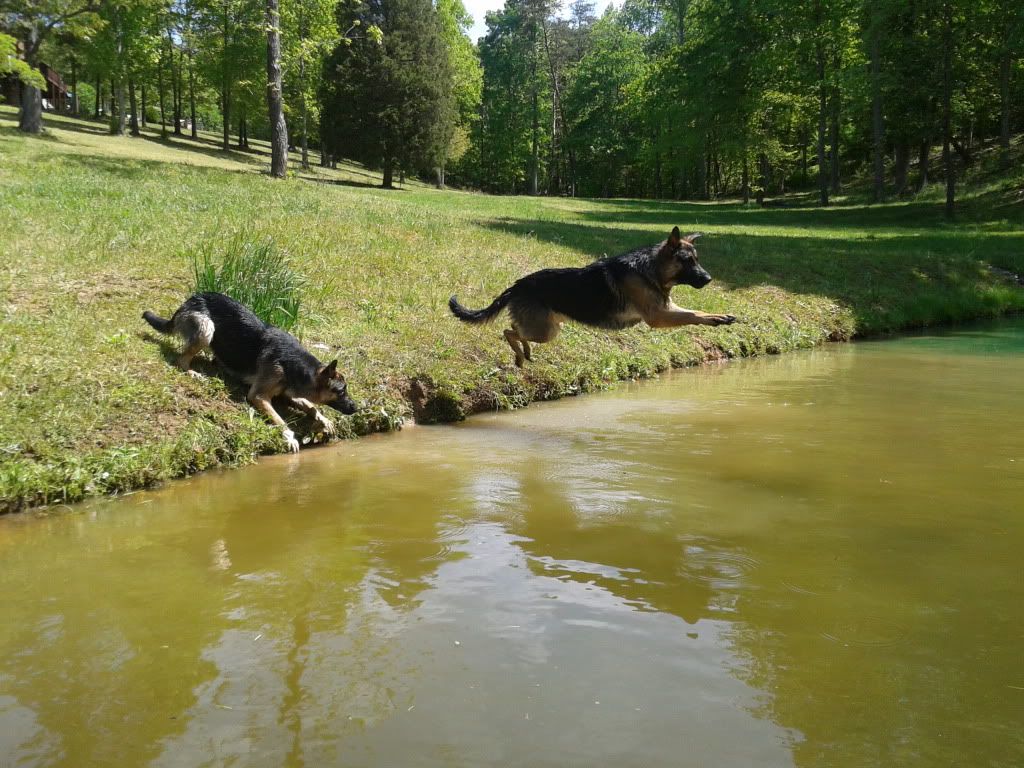 2012-04-27120242.jpg