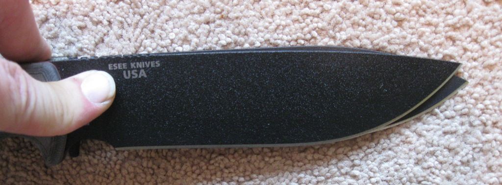 RAKVSEsee6_3.jpg