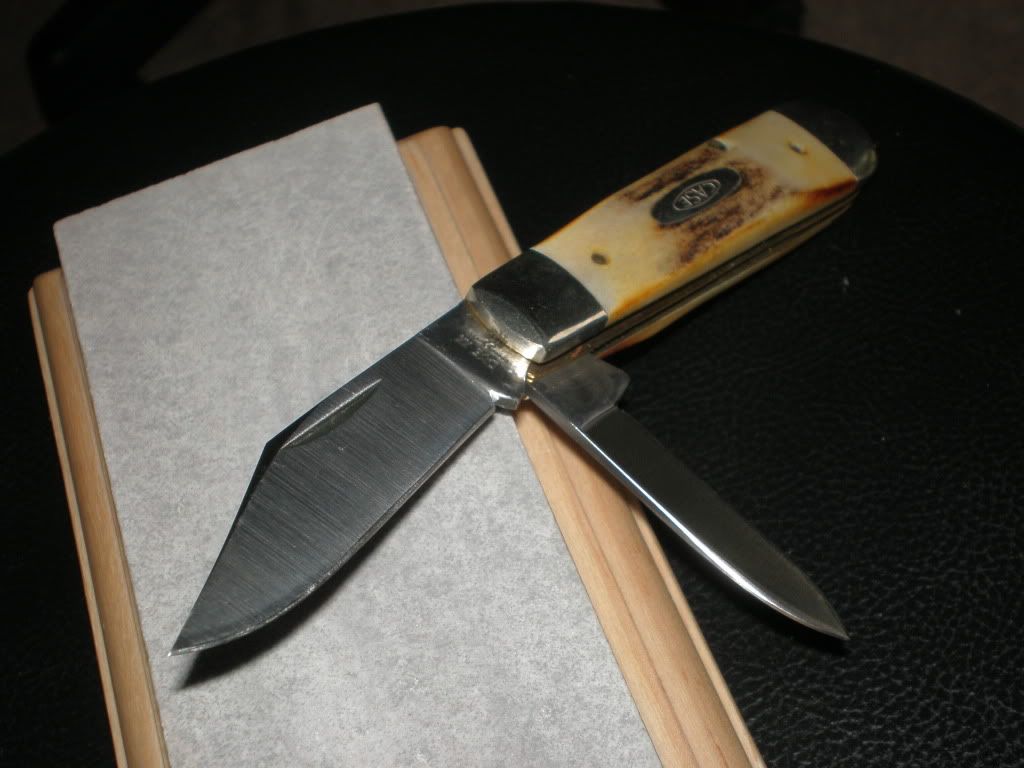 casencat004.jpg