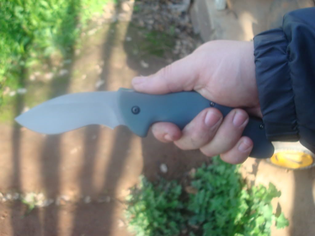 flipper12710inhand.jpg