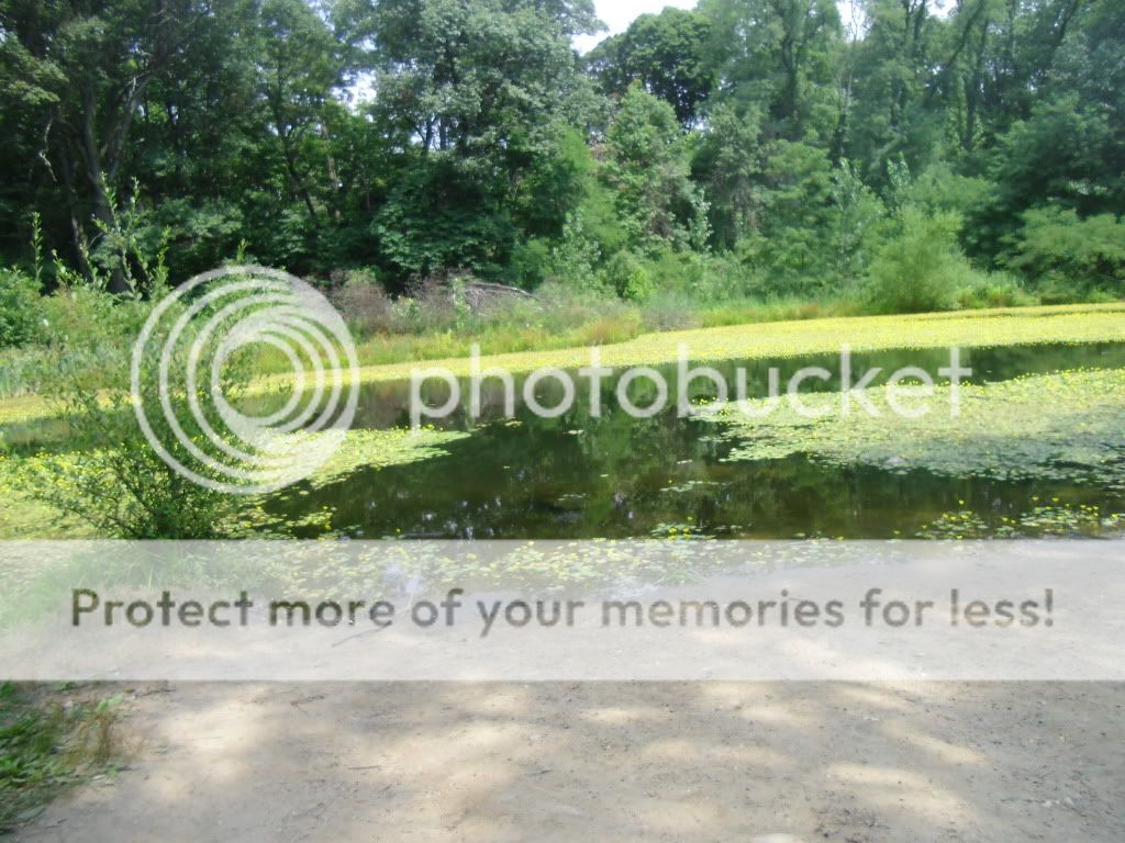 PICT0007-41.jpg