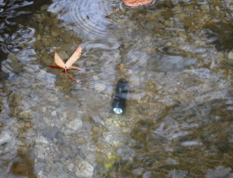 DSC_5283.jpg