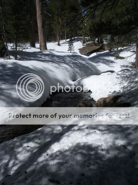DSCN1127.jpg