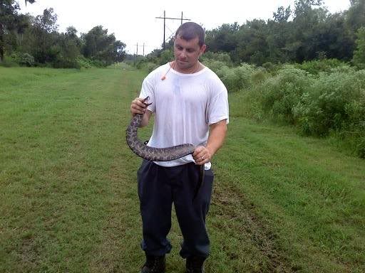 cottonmouth.jpg