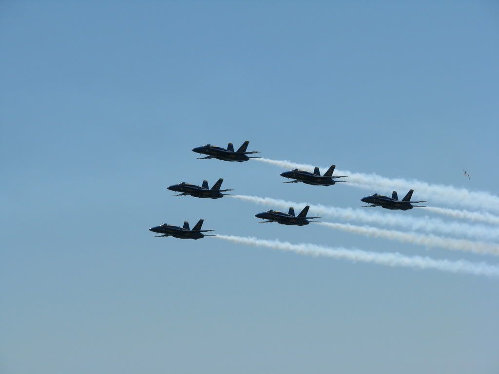 IMG_3567.jpg