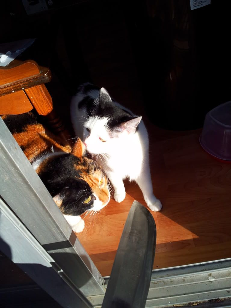 20120212_153404.jpg