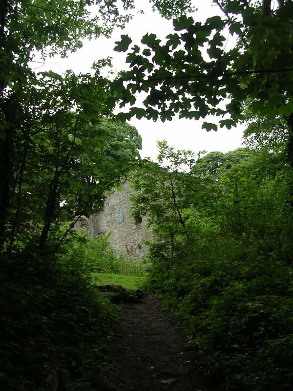 DSCN2142.jpg