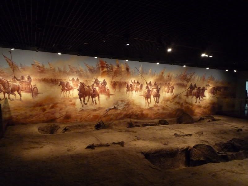 P1000405.jpg