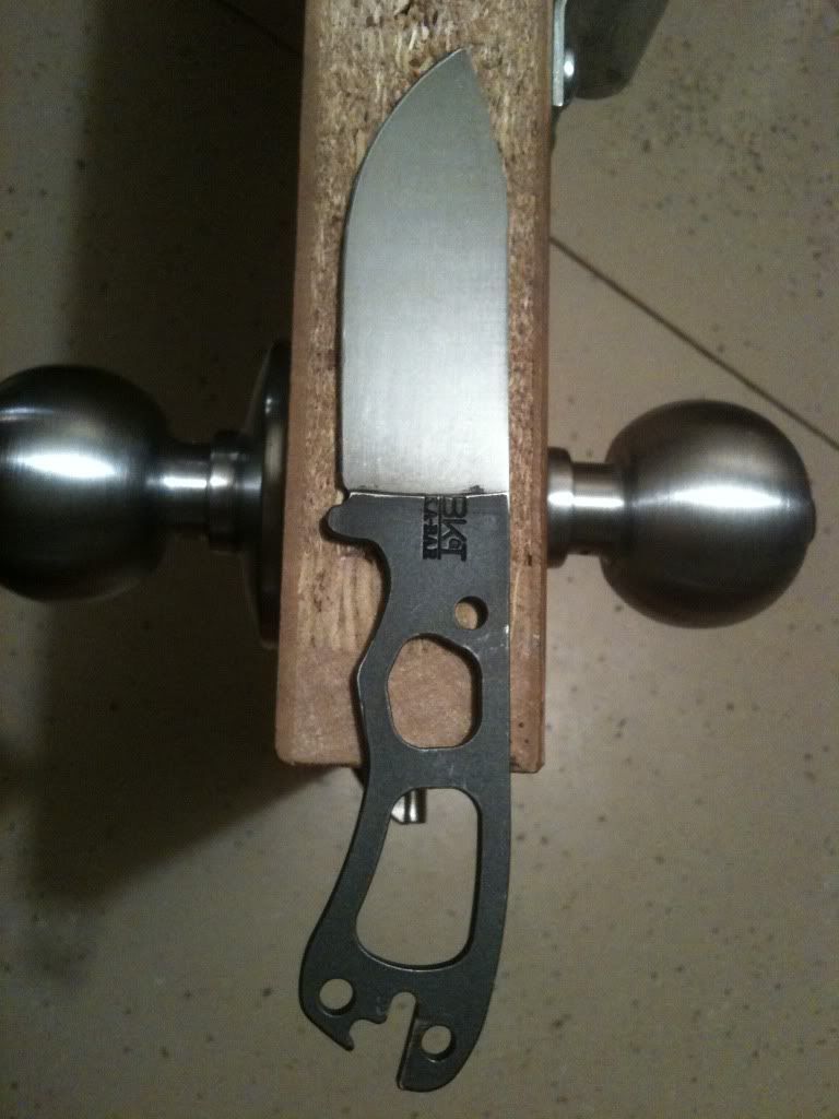 fa3597fd.jpg
