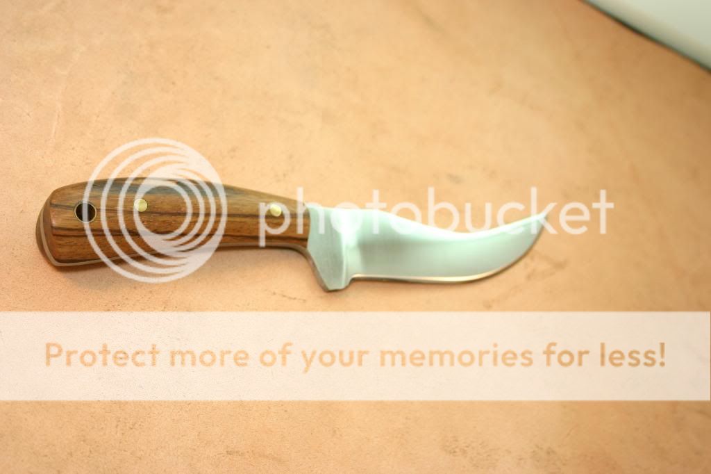 IMG_4246_zps48d1795b.jpg