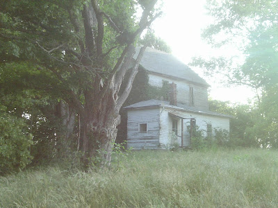 IMAG0167.JPG