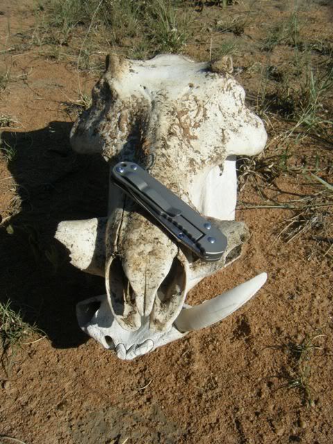 DSCF2101.jpg