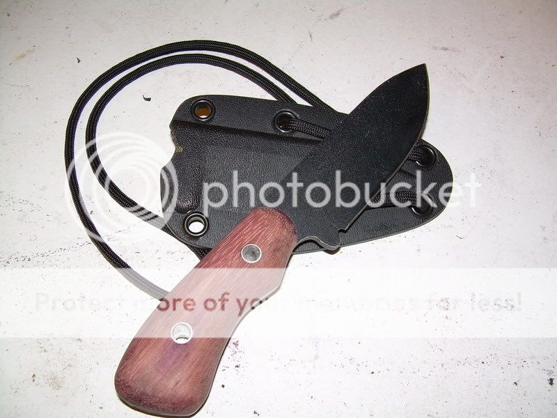 DSCN0339.jpg
