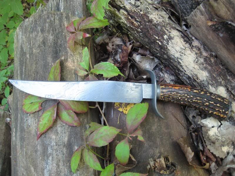 Camererbowie1.jpg
