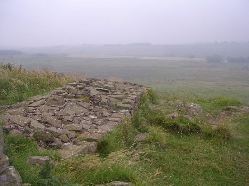 DSCN4488.jpg