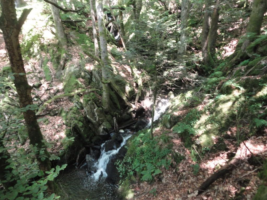 DSC01874.jpg