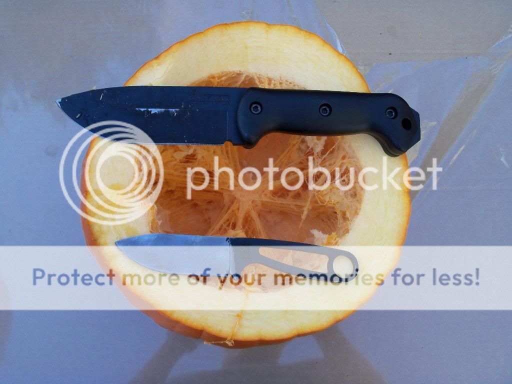 100_4128.jpg